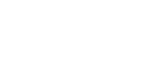 dragon blanco logotipo destino china